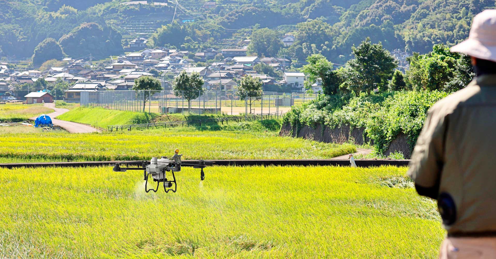ドローン散布の様子
